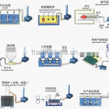 Roots blower,leaf blower,aeration roots blower