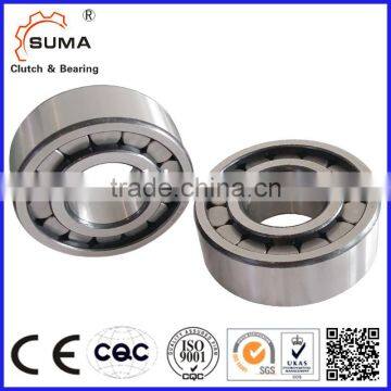 Single Row Full Complement Cylindrical Roller Bearing (SL18 SL19) photo-2