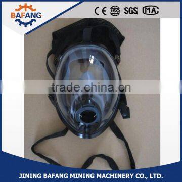 China Reasonable Price Full Head Face Gas Mask photo-4
