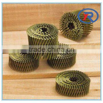 China High Quality Galvanized Coil Roofing Nails photo-4