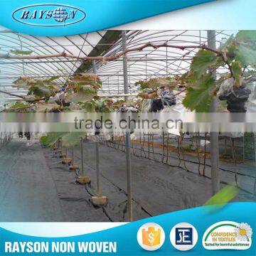 17~70g/m2 Biodegradable Weed Control PP Non Woven Weed Mat photo-3