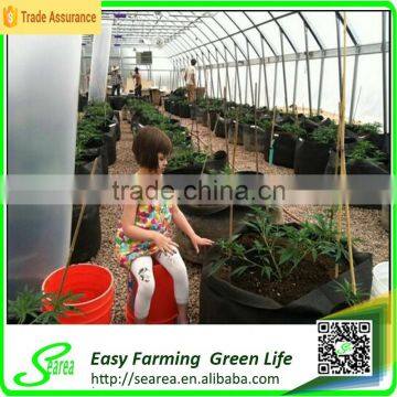 New Style Single Span Agricultural Plastic Greenhouse