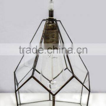 Edison Bulb Clear Simple Lamp Glass Terrarium photo-2