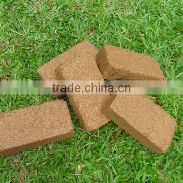 Coconut peat Briquettes