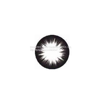 Contact Lenses