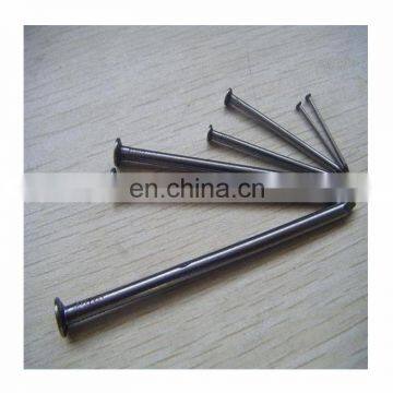 Brand New Design Black Cement Steel Concrete Nails with Great Factory Price