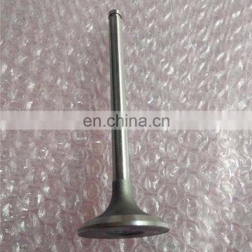 B3.3 Engine Parts Intake Valve 6207414110 6207414130