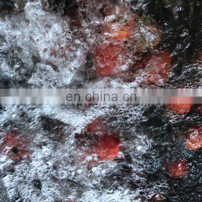 PLC Fully Automatic Vegetable Ginger and Fruit Washing Machine Vegetable Wash Machine Fruit