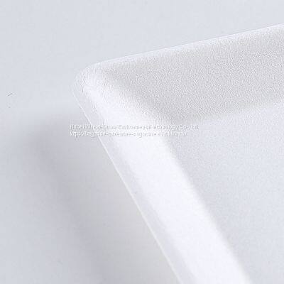 Disposable Biodegradable 6 INCH Square Plate Take Away Sugarcane photo-4