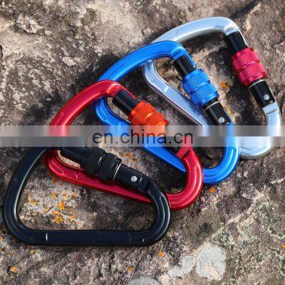 JRSGS 25KN D-Shaped Buckle Lock Rock Climbing Carabiner Clip Aviation Aluminum 7075 Snap Hook S7107