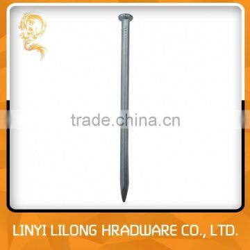 Galvanized Grooved Shank Concrete Steel Nail photo-3