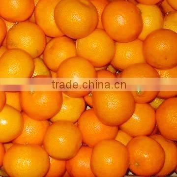 fresh mandarin orange