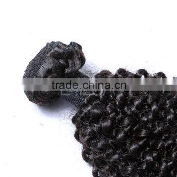 Kinky Twists Cheaphuman Hair Weaving Mongolian Kinky Curly Hair Weave Supplier's Choice photo-2