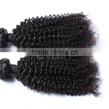 Kinky Twists Peruvian Virgin Hair, Afro Kinky Curly Human Hair Weave Supplier's Choice photo-6