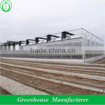 4mm Twin Wall Polycarbonate Greenhouse photo-2