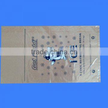 cooler bag for frozen food/plastic food bag manufacturer
