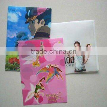New products for 2013 pretty hot sale cheaper fashionable pp file folder