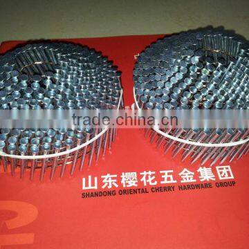 Coil Nail Manufacturer photo-6