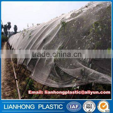 HDPE transparent anti hail net