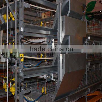 full automatic chicken feeder for poultry shed