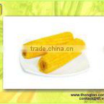 Canned Sweet Corn In Crop Time by thongtan foodstuff, hight quality