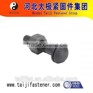 Tor shear type bolt