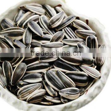 Exporting 363 Sunflower Seeds With Good Price photo-2