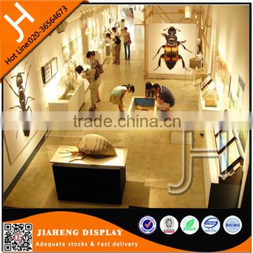 Museum interior design glass display cases equipment