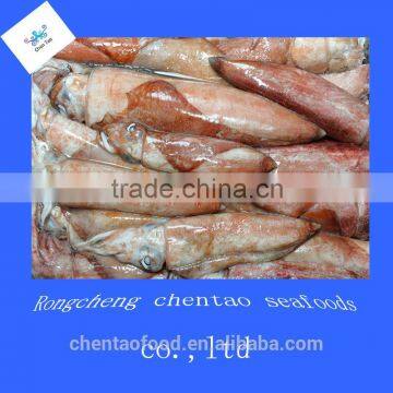 Frozen red squid seafood wholesale