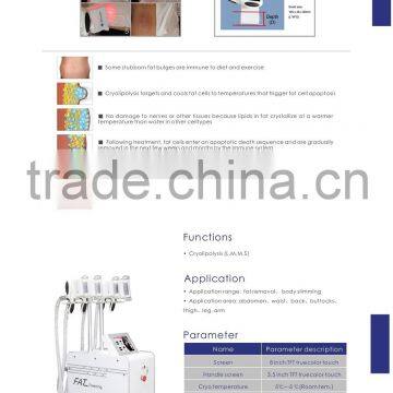 Cryotherapy Machine 4 Handles Weight Loss and Cellulite photo-6