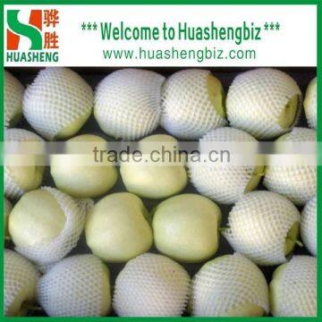 2016 Chinese Golden Delicious Fresh Apple With Best Quality photo-4