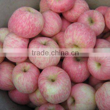 Yantai Fresh Red Fuji Apple