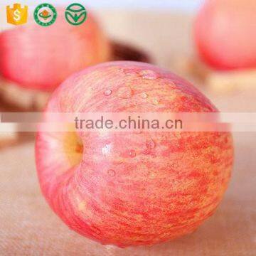 china apple exporter