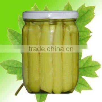 organic baby corn in glass jar canned baby corn