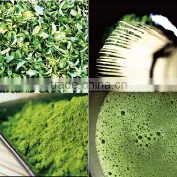 Healthy and Nutritious Benefits of Green Tea at Reasonable Prices , Small Lot Order Available