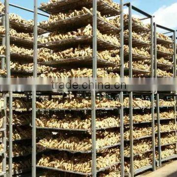 Fresh Air Dried Ginger photo-6