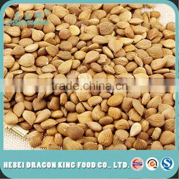 Raw Apricot Kernel Seeds