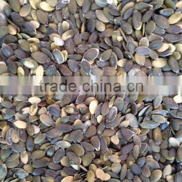 GWS Pumpkin Seeds Pirce Grade A photo-2