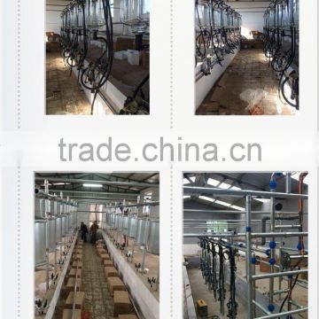 10cows positions fishing bone milking system