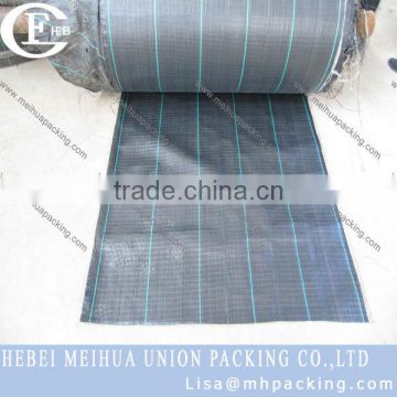 UV resistance ground cover fabric/pp woven geotextiles fabric 84gsm