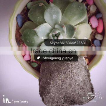 Improve the Quality Machining Performance - the Calcium Silicon Manganese photo-3