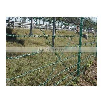 Double Strand Barbed Wire Galvanized