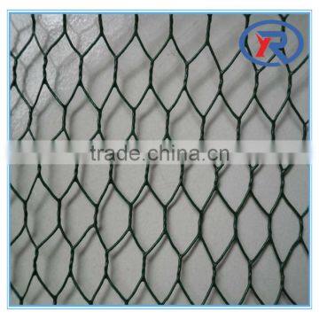 Trade Assurance 1 Inch Galvanized Welded Wire Mesh photo-4