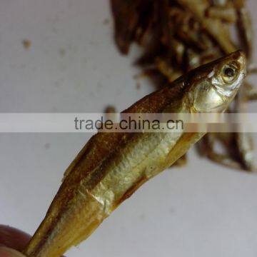 Wellness Cat Food Freshwater Dried Fish photo-2
