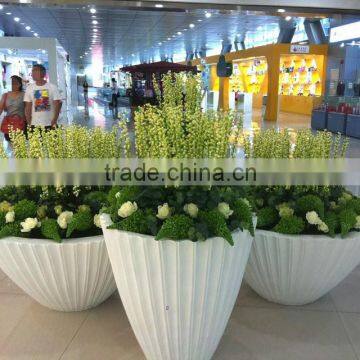 White FRP planter pot