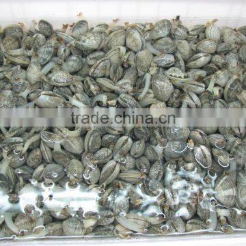 Seafood Frozen Canned Baby Clam photo-5