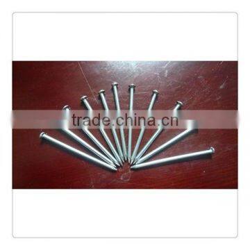 Common nails wood nails in Xinyuan Hareware factory