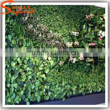 wholesale plastic vertical garden green wall combination