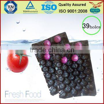 France Market Popular Wholesale 39x59cm Polypropylene Fruit Alveoles Tray For Apples photo-4