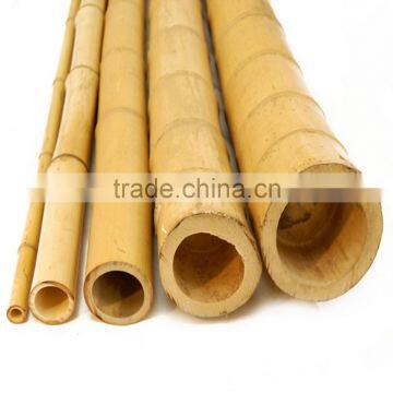 Natural yellow bamboo pole 6mm-60mm